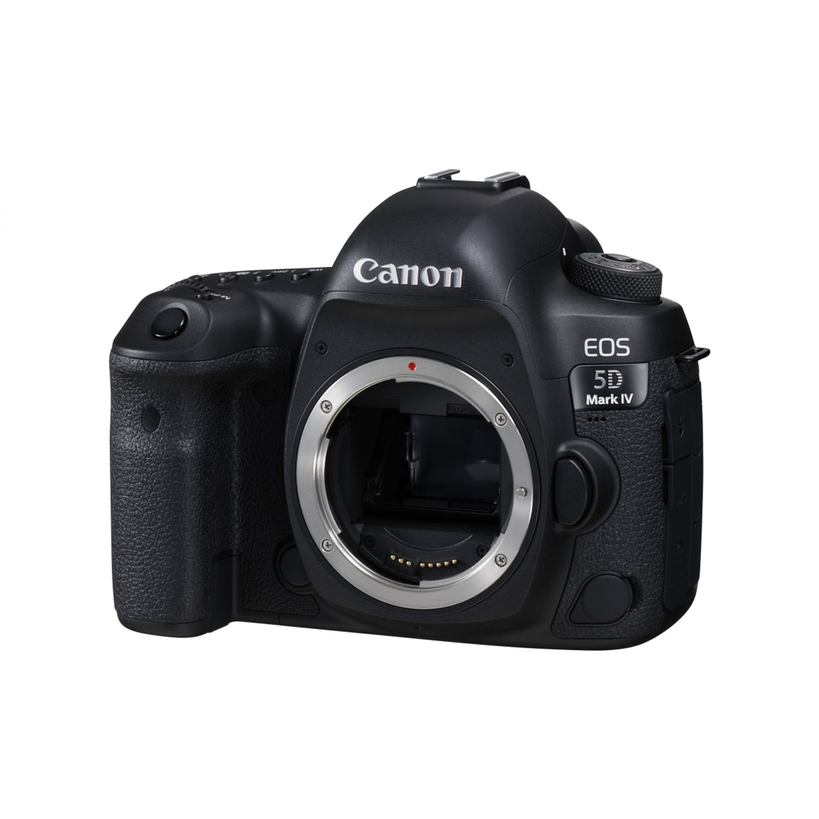canon c100 lens mount