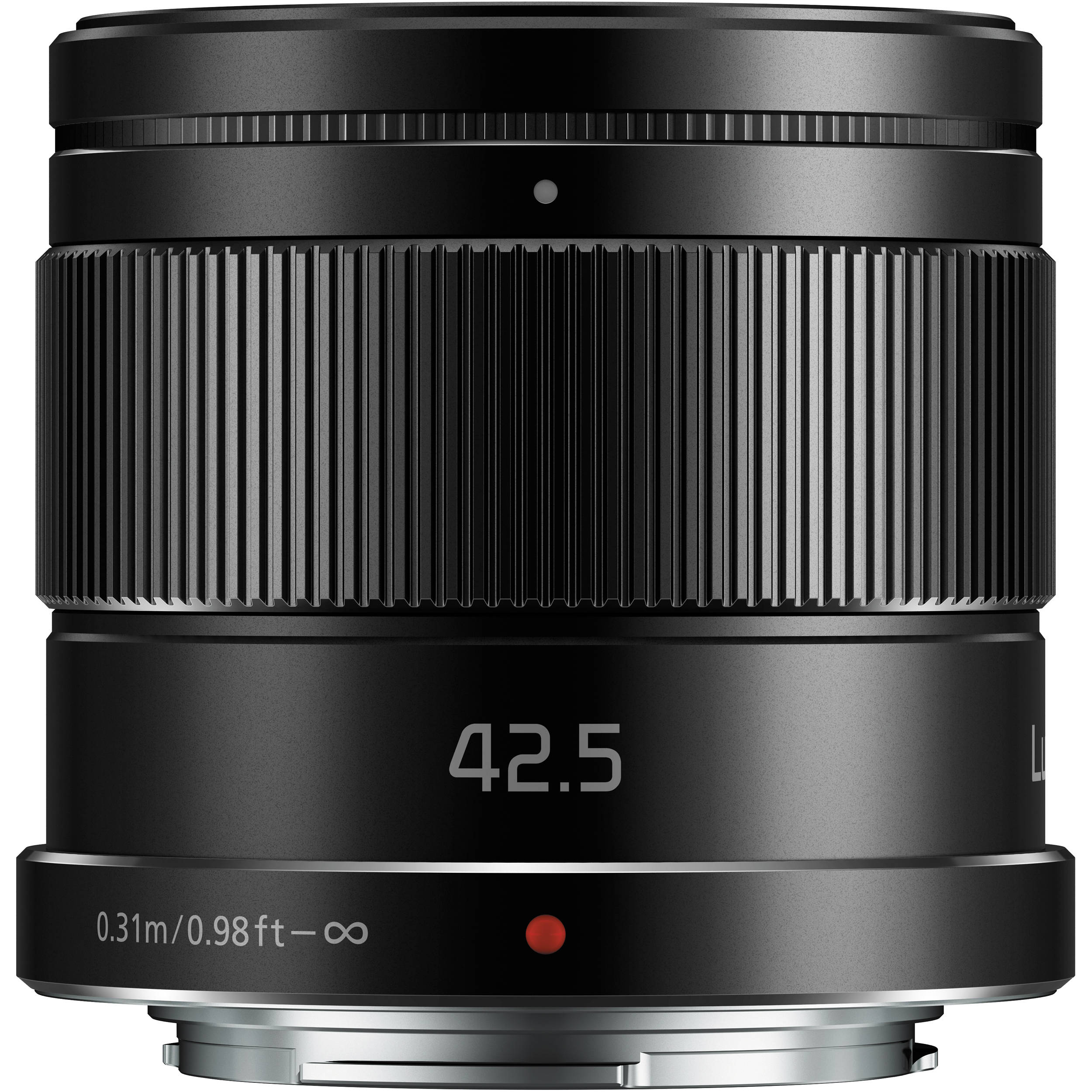 1552464804Panasonic Lumix G 42 
